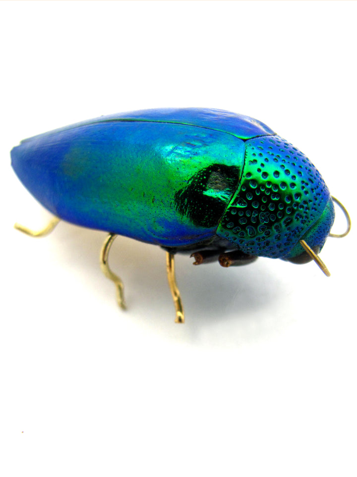 Emerald Beetle Pin