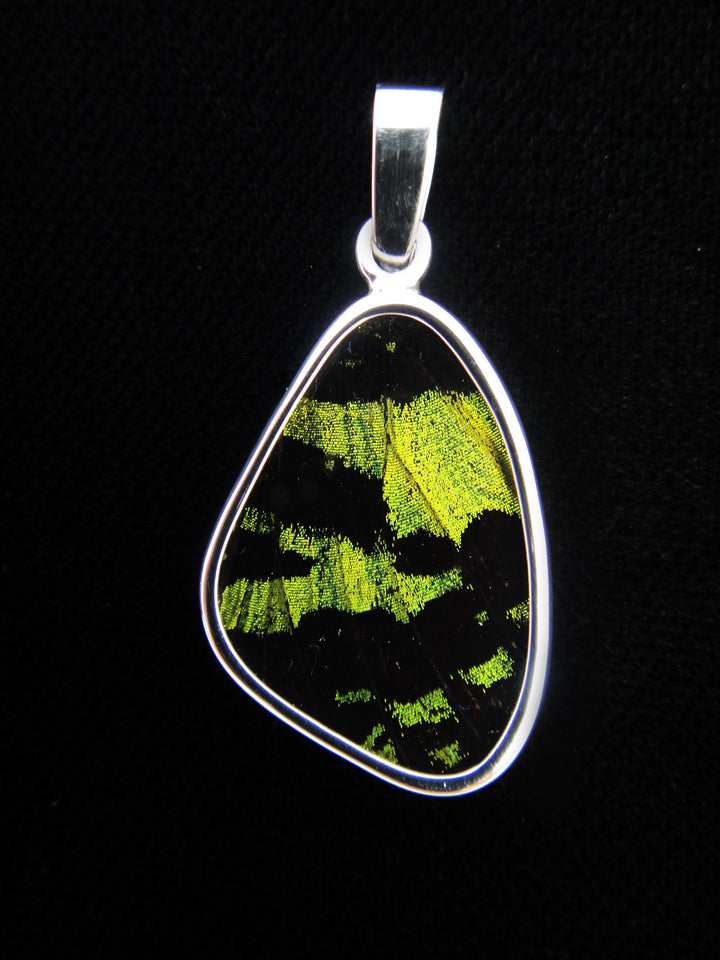 Tiny Green & Black Wing Pendant