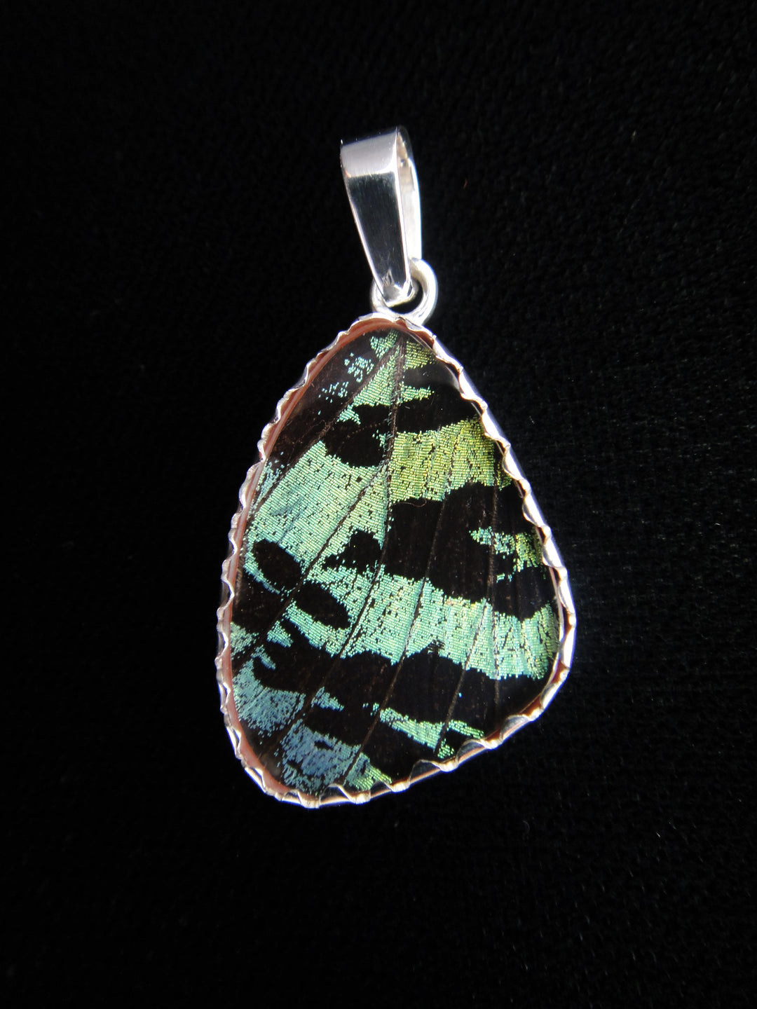 Tiny Green & Black Wing Pendant