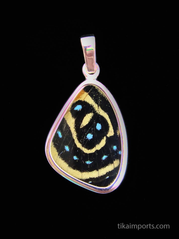 Small Speckled Numberwing Wing Pendant