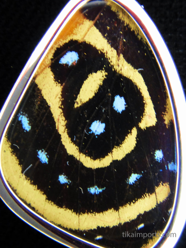 Small Speckled Numberwing Wing Pendant