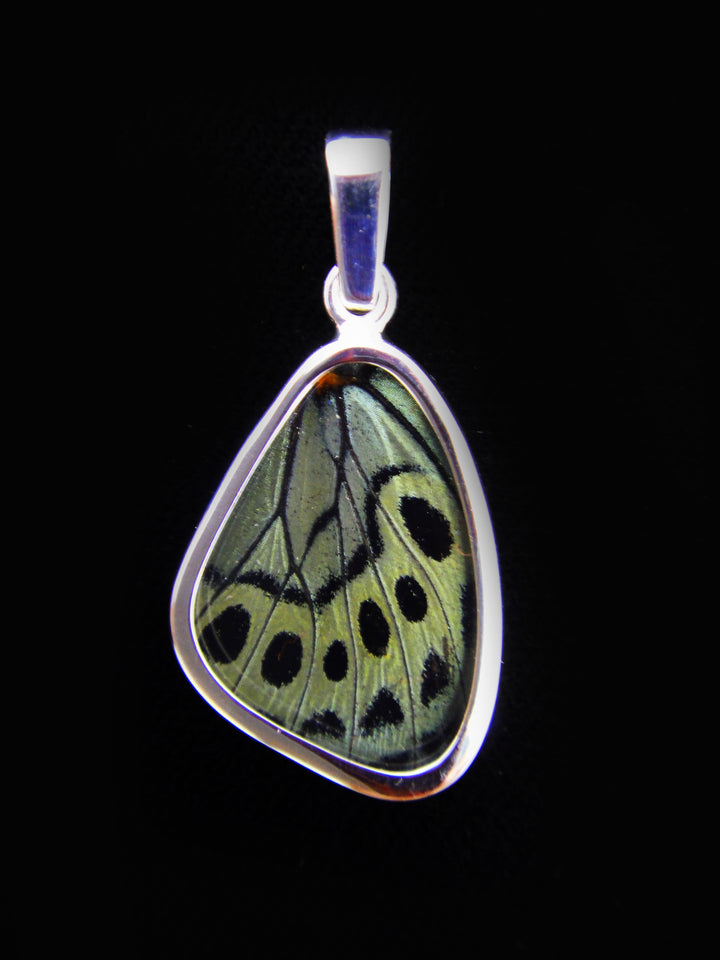 Tiny Sage Green Wing Pendant