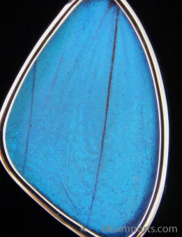 Medium Blue Wing Pendant