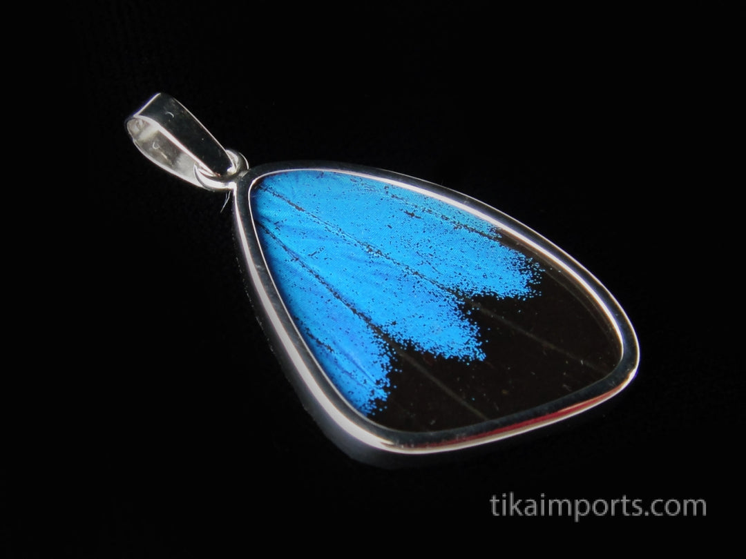 Medium Blue & Black Wing Pendant