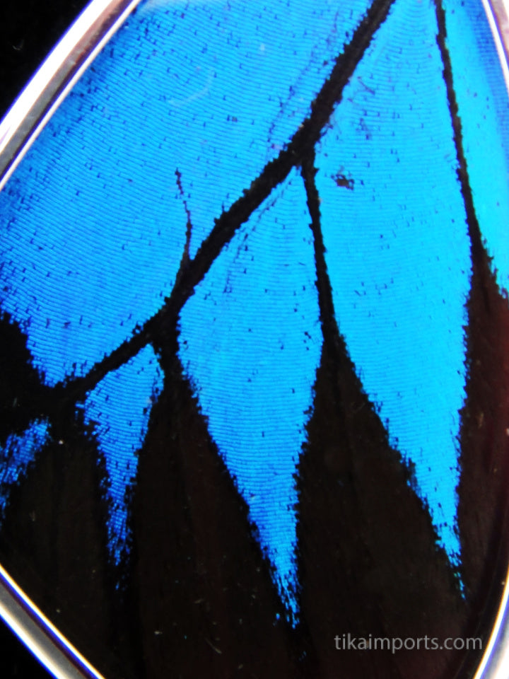 Medium Blue & Black Wing Pendant