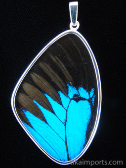 XXL Blue & Black Wing Pendant