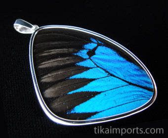 XXL Blue & Black Wing Pendant