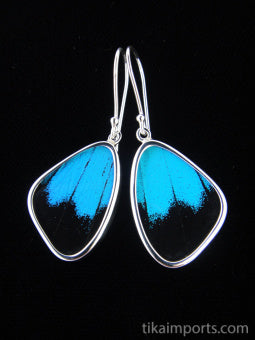 Small Blue & Black Wing Earrings