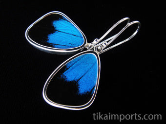 Small Blue & Black Wing Earrings