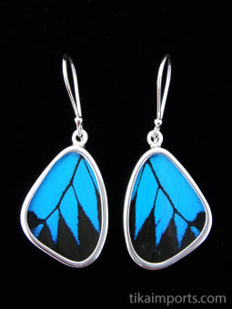 Small Blue & Black Wing Earrings