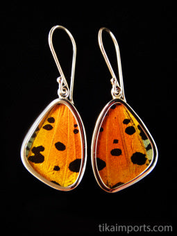 Small Hot Sunset Wing Earrings