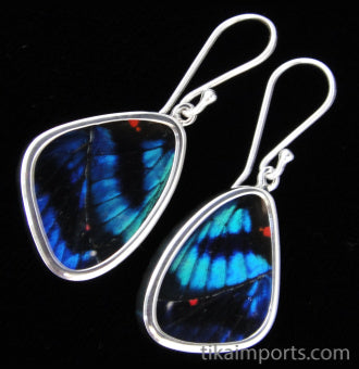 Small Blue Flash Wing Earrings