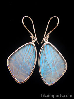 Medium Pearl Blue Wing Earrings