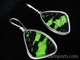 Medium Green & Black Wing Earrings