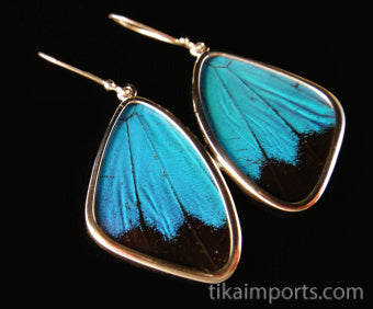 Medium Blue & Black Wing Earrings