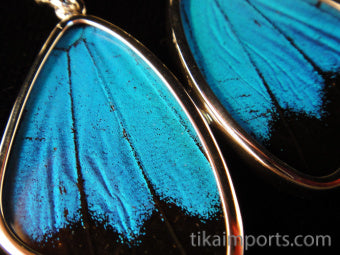 Medium Blue & Black Wing Earrings