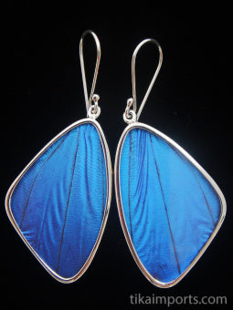Large Blue Wing Earrings
