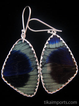 Large Sage Green Wing Earrings