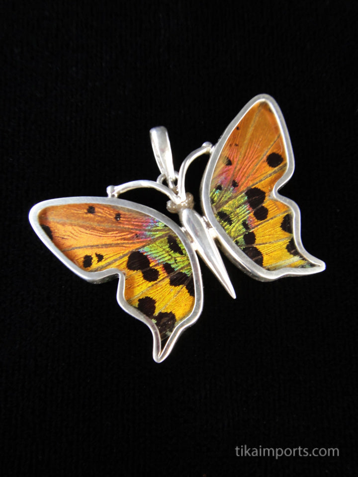 Small Sunset Butterfly Pendant