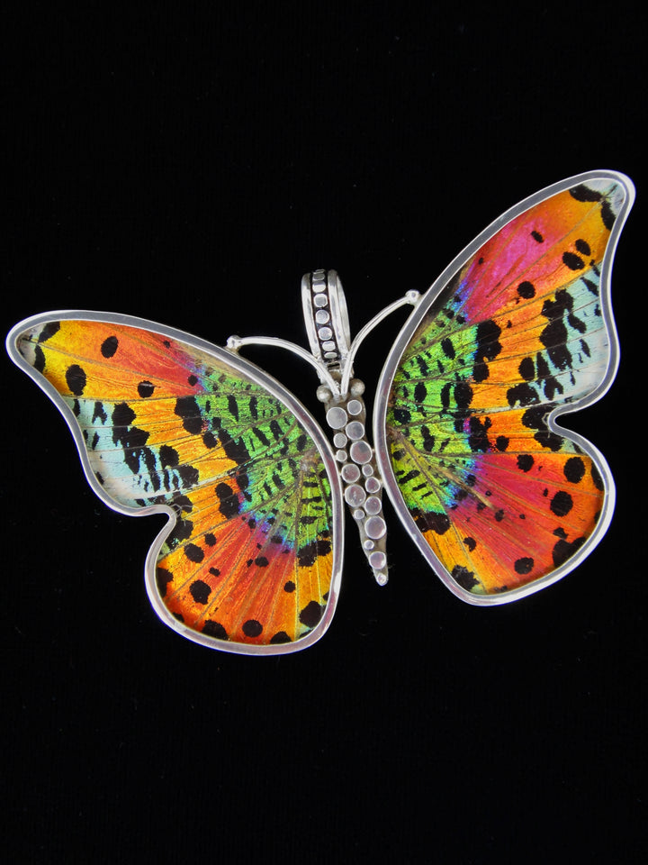 Large Sunset Butterfly Pendant