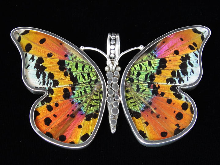 Large Sunset Butterfly Pendant