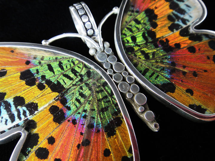 Large Sunset Butterfly Pendant