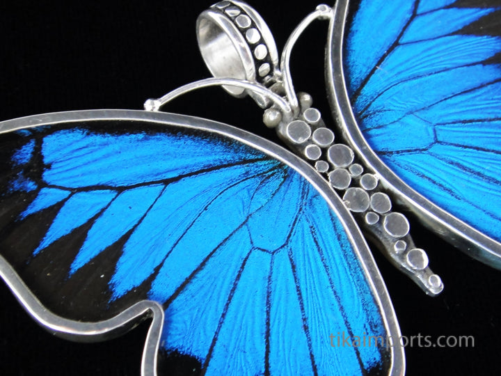 Large Blue & Black Butterfly Pendant