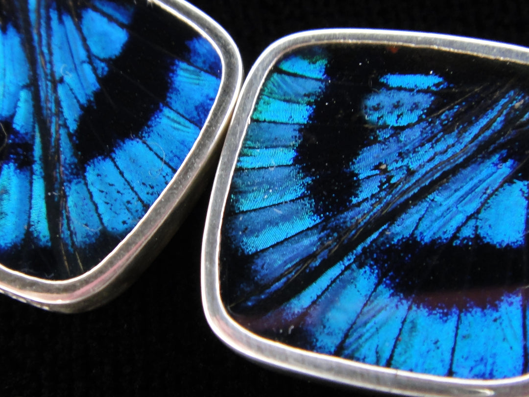 Blue Flash Earrings- Detail Shot 