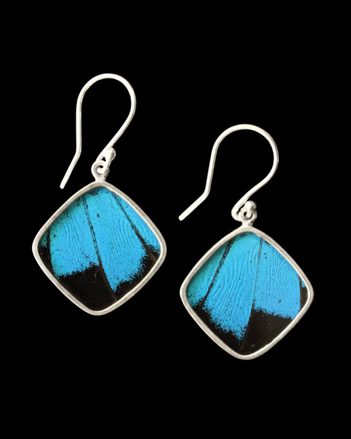 Blue & Black Diamond Earrings