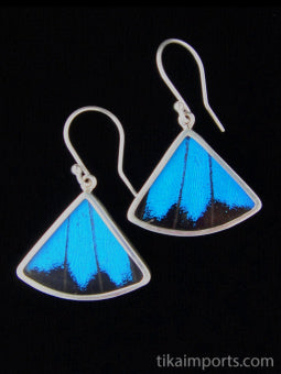 Blue & Black Fan Earrings