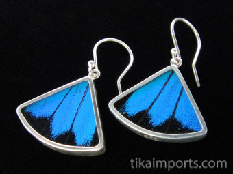 Blue & Black Fan Earrings