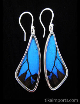 Blue & Black Long Wing Earrings