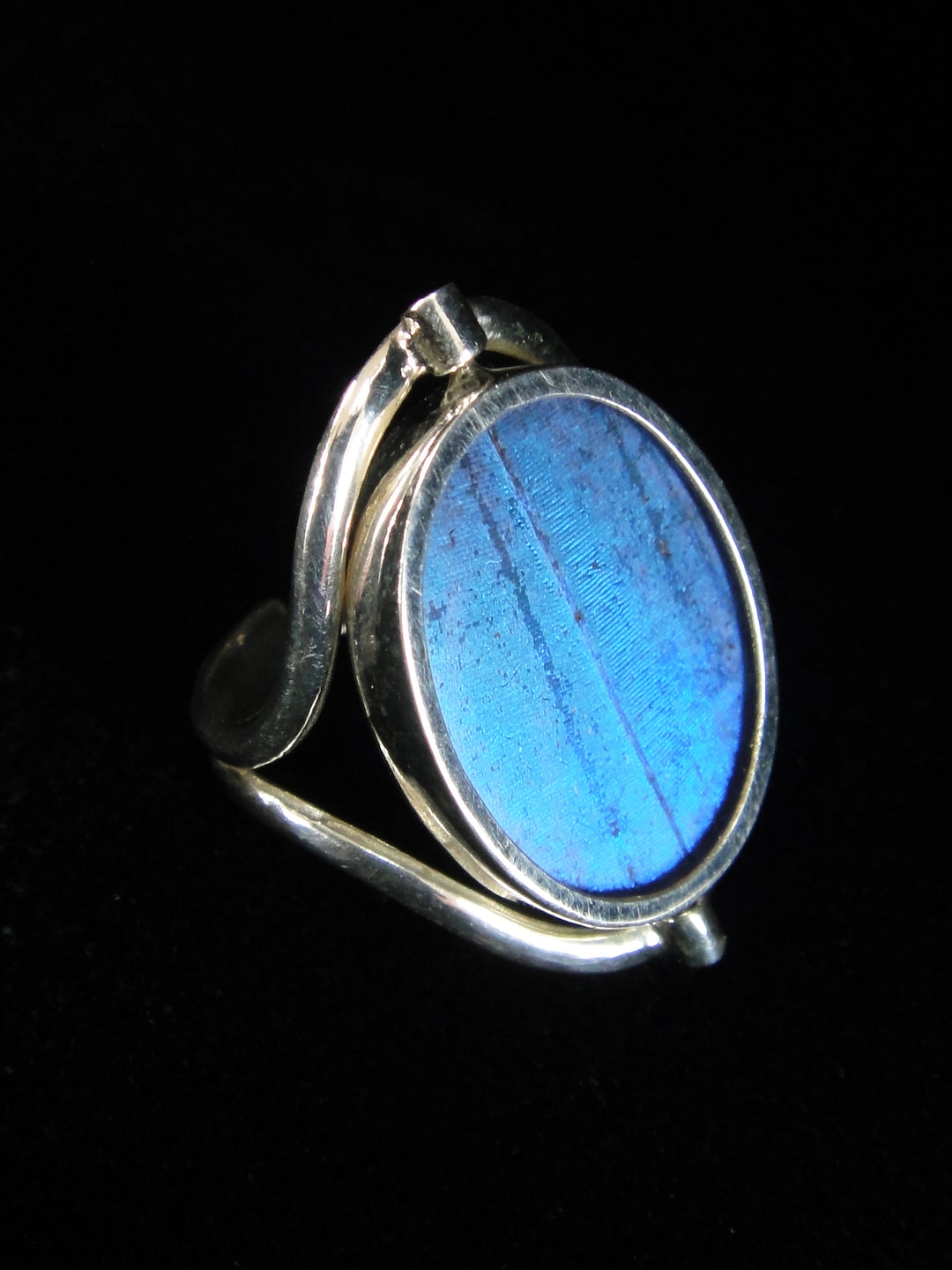 Reversible Blue Morpho/Sunset Oval Ring (adjustable)