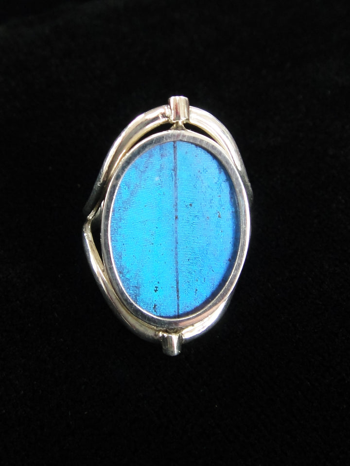 Reversible Blue Morpho/Sunset Oval Ring (adjustable)