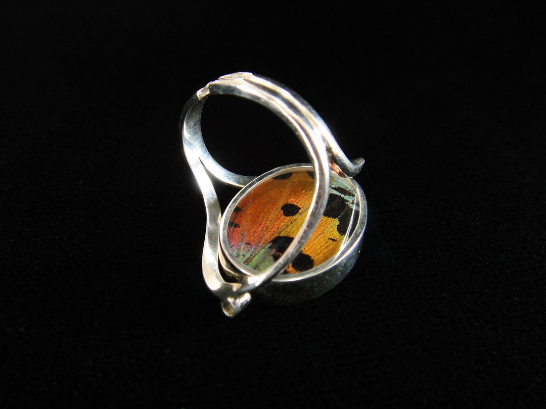 Reversible Blue Morpho/Sunset Oval Ring (adjustable)