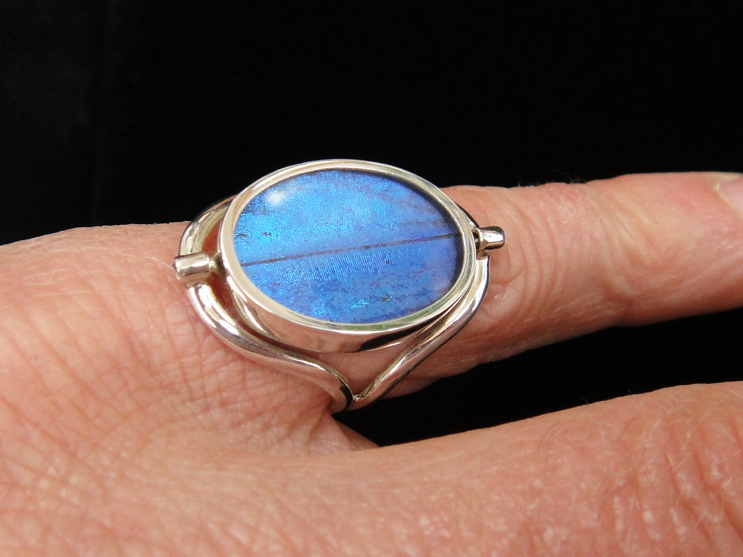 Reversible Blue Morpho/Sunset Oval Ring (adjustable)