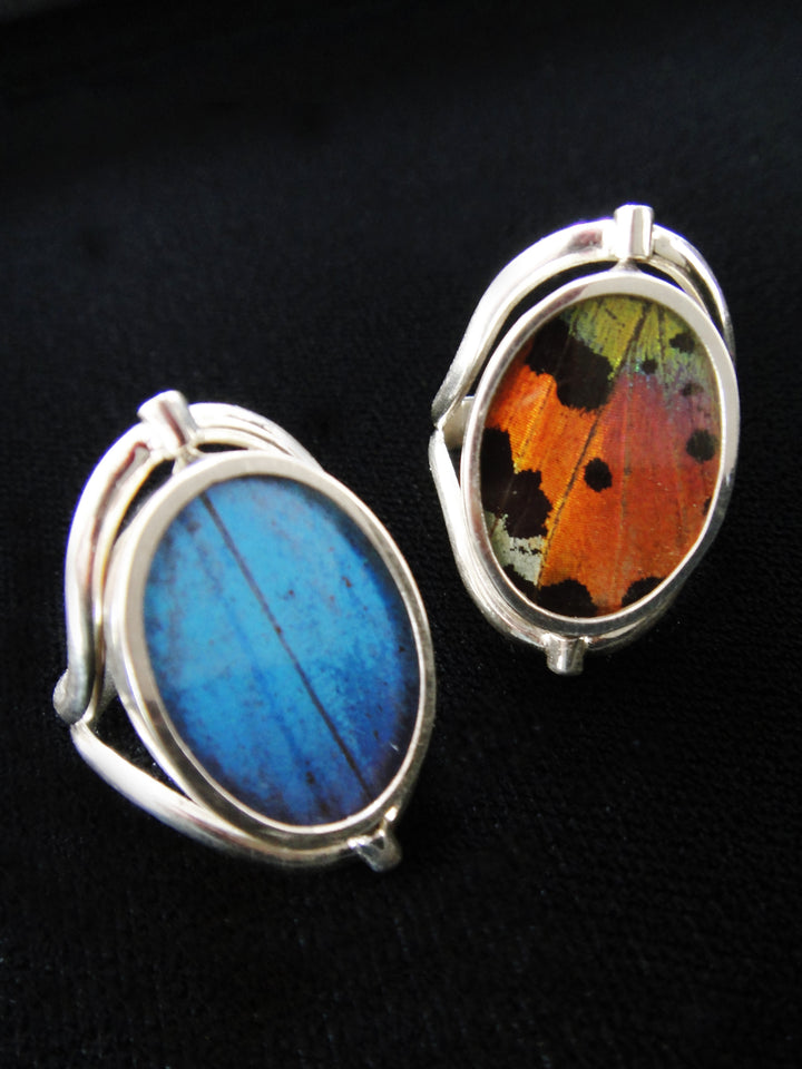 Reversible Blue Morpho/Sunset Oval Ring (adjustable)